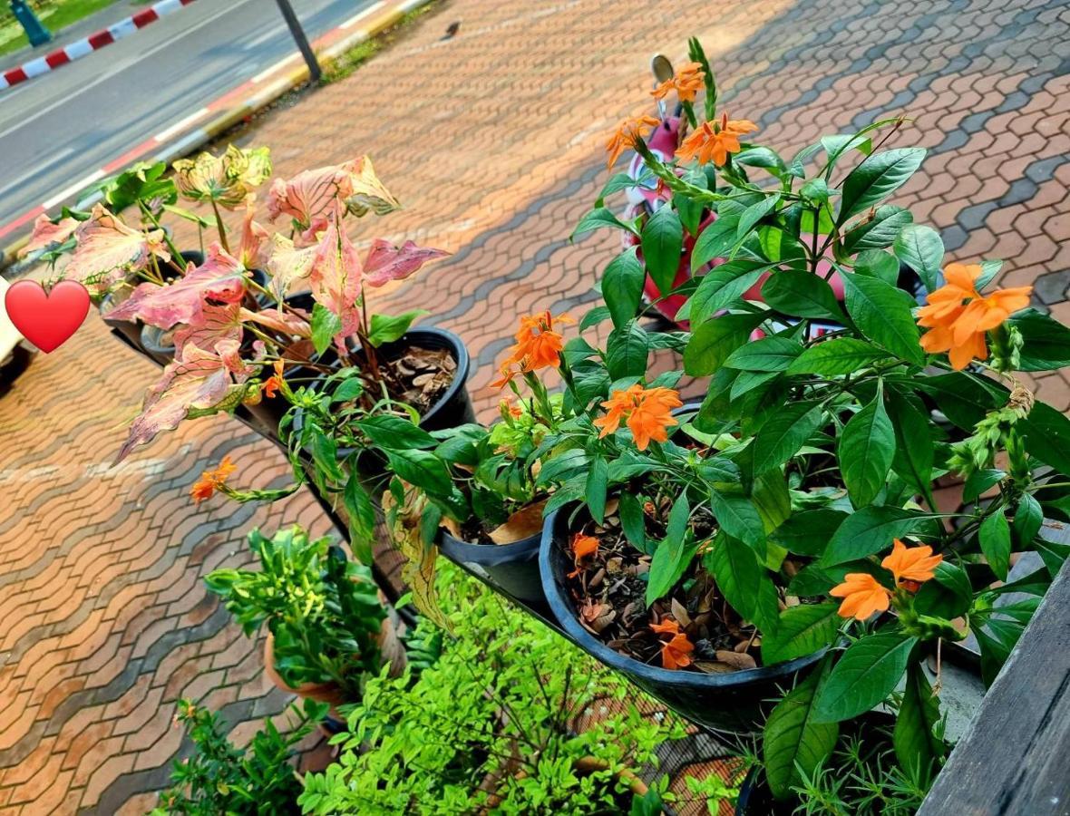 T2B Hostel 치앙마이 외부 사진